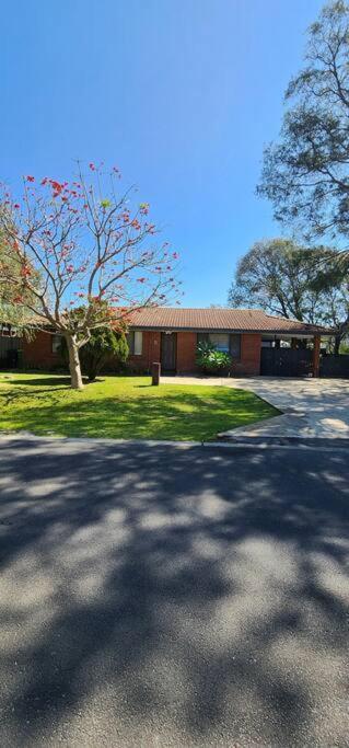 Abbey Beach Cottage Busselton Buitenkant foto